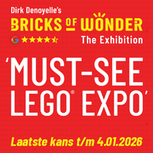 Bricks of Wonder