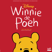 Disney Winnie de Poeh De Musical