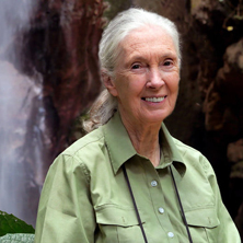 Jane Goodall