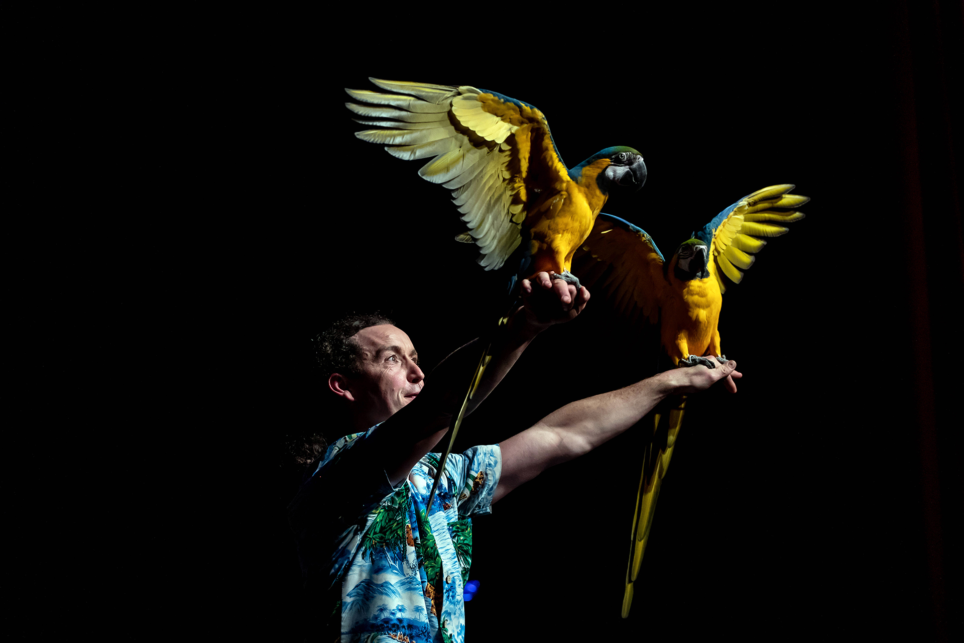 Wintercircus Pallasso 2