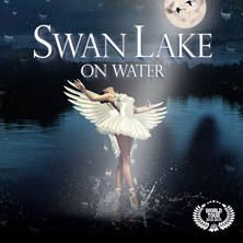 Het Zwanenmeer Op Het Water