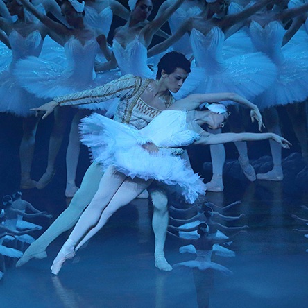 Het Grootste Zwanenmeer ter Wereld